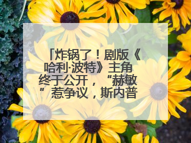 炸锅了！剧版《哈利·波特》主角终于公开，“赫敏”惹争议，斯内普变黑人……
