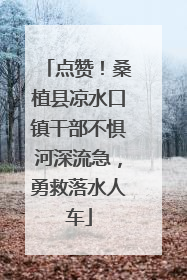 点赞！桑植县凉水口镇干部不惧河深流急，勇救落水人车