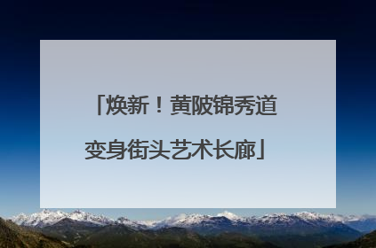 焕新！黄陂锦秀道变身街头艺术长廊