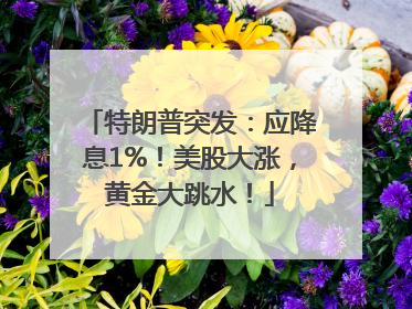 特朗普突发：应降息1%！美股大涨，黄金大跳水！