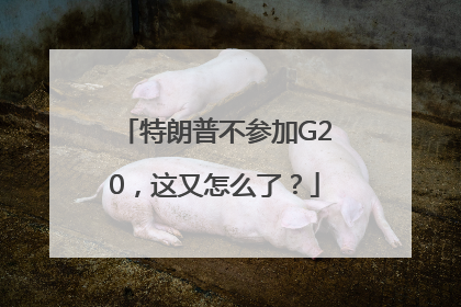 特朗普不参加G20，这又怎么了？