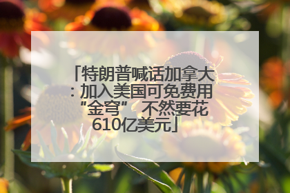 特朗普喊话加拿大：加入美国可免费用“金穹” 不然要花610亿美元