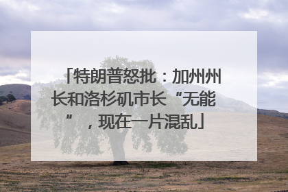 特朗普怒批：加州州长和洛杉矶市长“无能”，现在一片混乱