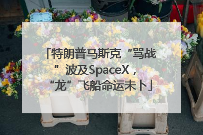 特朗普马斯克“骂战”波及SpaceX，“龙”飞船命运未卜
