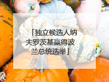 独立候选人纳夫罗茨基赢得波兰总统选举