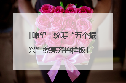 瞭望丨统筹“五个振兴”擦亮齐鲁样板