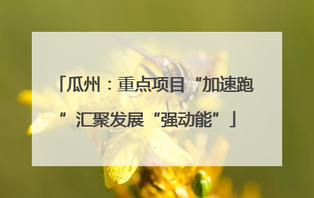 瓜州：重点项目“加速跑”汇聚发展“强动能”