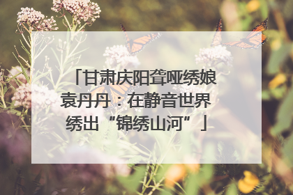 甘肃庆阳聋哑绣娘袁丹丹：在静音世界绣出“锦绣山河”