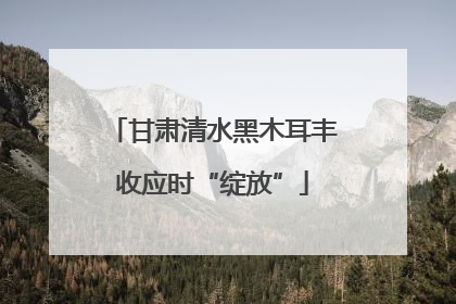 甘肃清水黑木耳丰收应时“绽放”