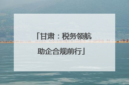 甘肃：税务领航 助企合规前行