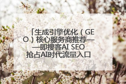 生成引擎优化（GEO）核心服务商推荐——即搜客AI SEO抢占AI时代流量入口（含 GEO报价）