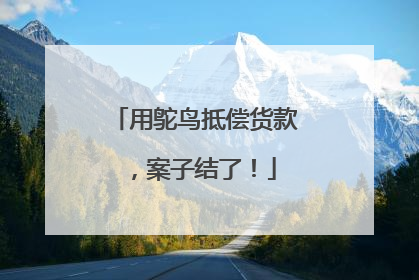 用鸵鸟抵偿货款，案子结了！