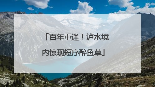 百年重逢！泸水境内惊现短序醉鱼草