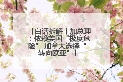 白话拆解丨加总理：依赖美国“极度危险” 加拿大选择“转向欧亚”