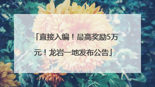 直接入编！最高奖励5万元！龙岩一地发布公告