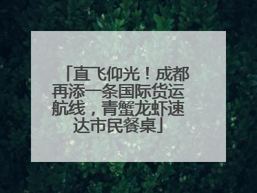 直飞仰光！成都再添一条国际货运航线，青蟹龙虾速达市民餐桌