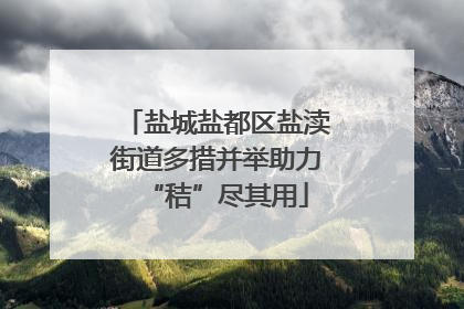 盐城盐都区盐渎街道多措并举助力“秸”尽其用