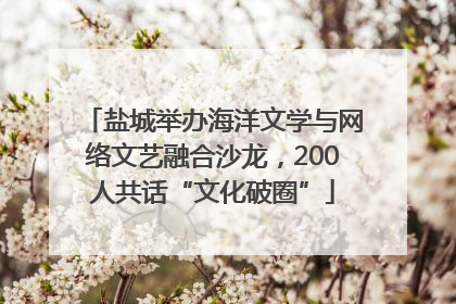 盐城举办海洋文学与网络文艺融合沙龙，200人共话“文化破圈”