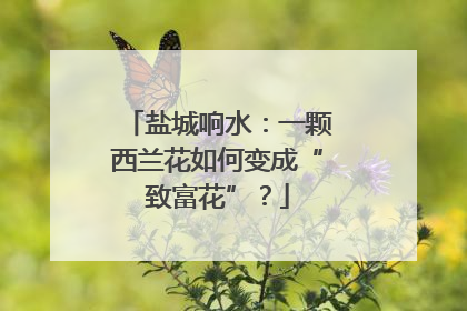 盐城响水：一颗西兰花如何变成“致富花”？