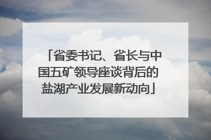 省委书记、省长与中国五矿领导座谈背后的盐湖产业发展新动向