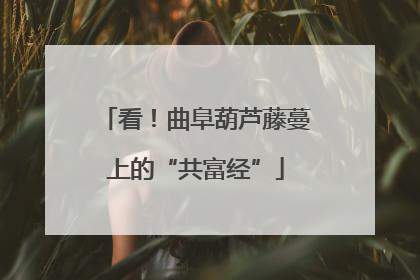 看！曲阜葫芦藤蔓上的“共富经”
