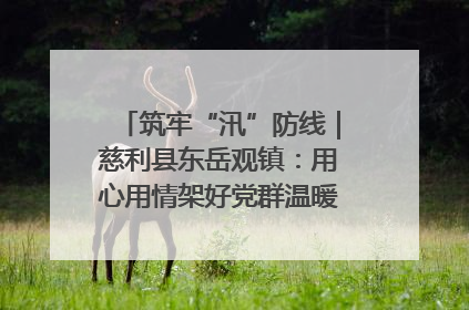 筑牢“汛”防线｜慈利县东岳观镇：用心用情架好党群温暖悠长的“连心桥”