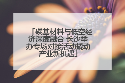 碳基材料与低空经济深度融合 长沙举办专场对接活动撬动产业新机遇