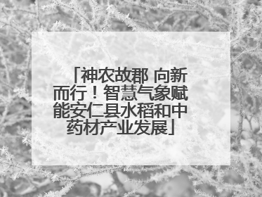 神农故郡 向新而行！智慧气象赋能安仁县水稻和中药材产业发展