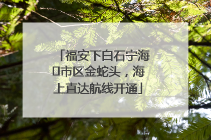 福安下白石宁海⇆市区金蛇头，海上直达航线开通