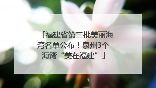 福建省第二批美丽海湾名单公布！泉州3个海湾“美在福建”