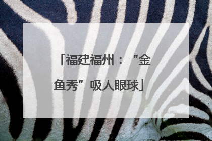 福建福州：“金鱼秀”吸人眼球