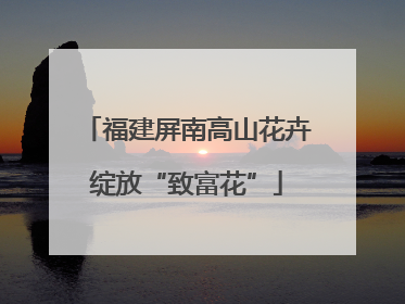 福建屏南高山花卉绽放“致富花”