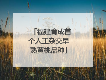 福建育成首个人工杂交早熟黄桃品种