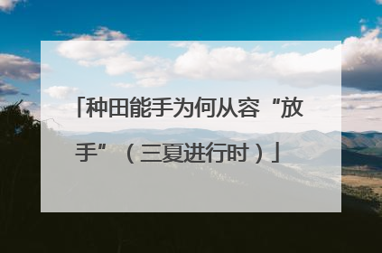 种田能手为何从容“放手”（三夏进行时）