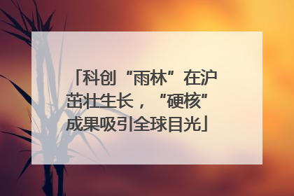 科创“雨林”在沪茁壮生长，“硬核”成果吸引全球目光