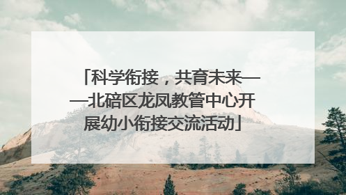 科学衔接，共育未来——北碚区龙凤教管中心开展幼小衔接交流活动