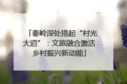 秦岭深处搭起“村光大道”：文旅融合激活乡村振兴新动能