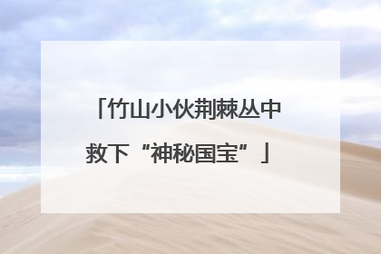 竹山小伙荆棘丛中救下“神秘国宝”