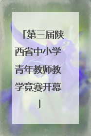 第三届陕西省中小学青年教师教学竞赛开幕