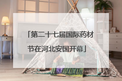 第二十七届国际药材节在河北安国开幕