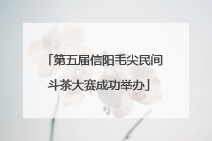 第五届信阳毛尖民间斗茶大赛成功举办