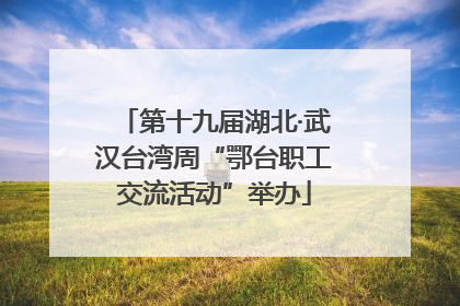 第十九届湖北·武汉台湾周“鄂台职工交流活动”举办