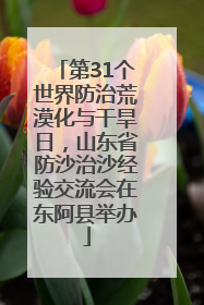 第31个世界防治荒漠化与干旱日，山东省防沙治沙经验交流会在东阿县举办