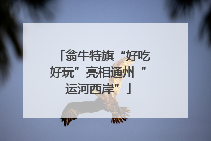 翁牛特旗“好吃好玩”亮相通州“运河西岸”