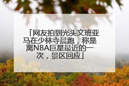 网友拍到光头文班亚马在少林寺晨跑，称是离NBA巨星最近的一次，景区回应