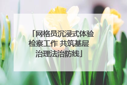 网格员沉浸式体验检察工作 共筑基层治理法治防线