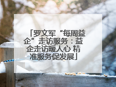 罗文军“每周益企”走访服务：益企走访暖人心 精准服务促发展