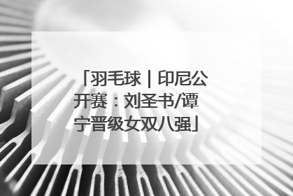 羽毛球｜印尼公开赛：刘圣书/谭宁晋级女双八强