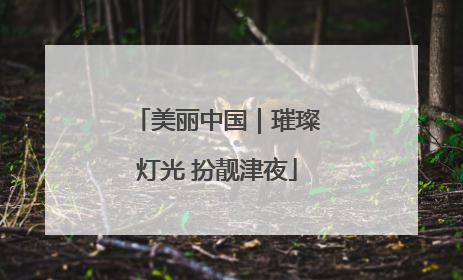 美丽中国｜璀璨灯光 扮靓津夜