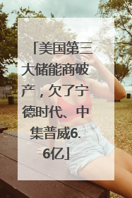美国第三大储能商破产，欠了宁德时代、中集普威6.6亿